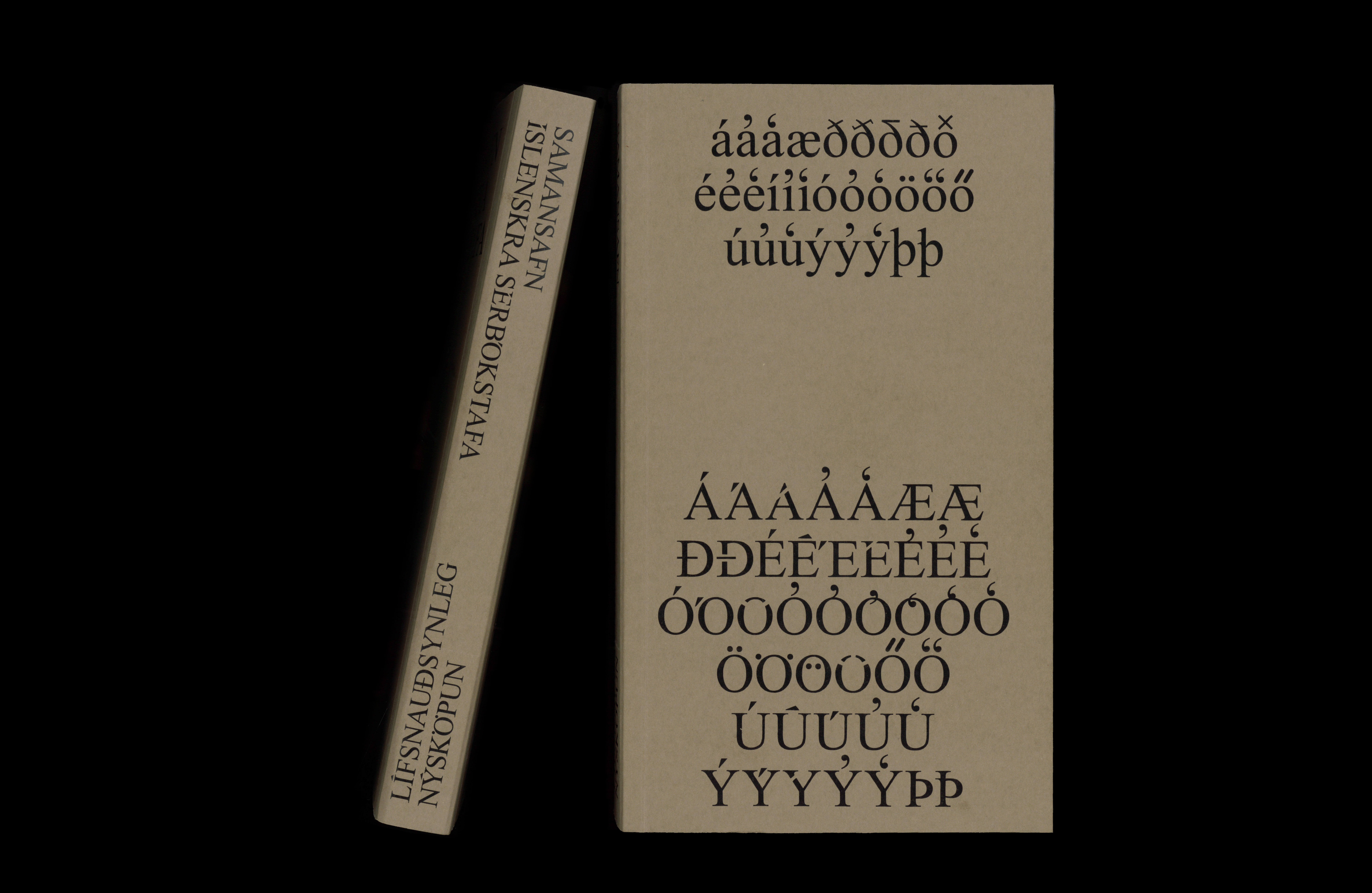 Archiving Icelandic Special Characters